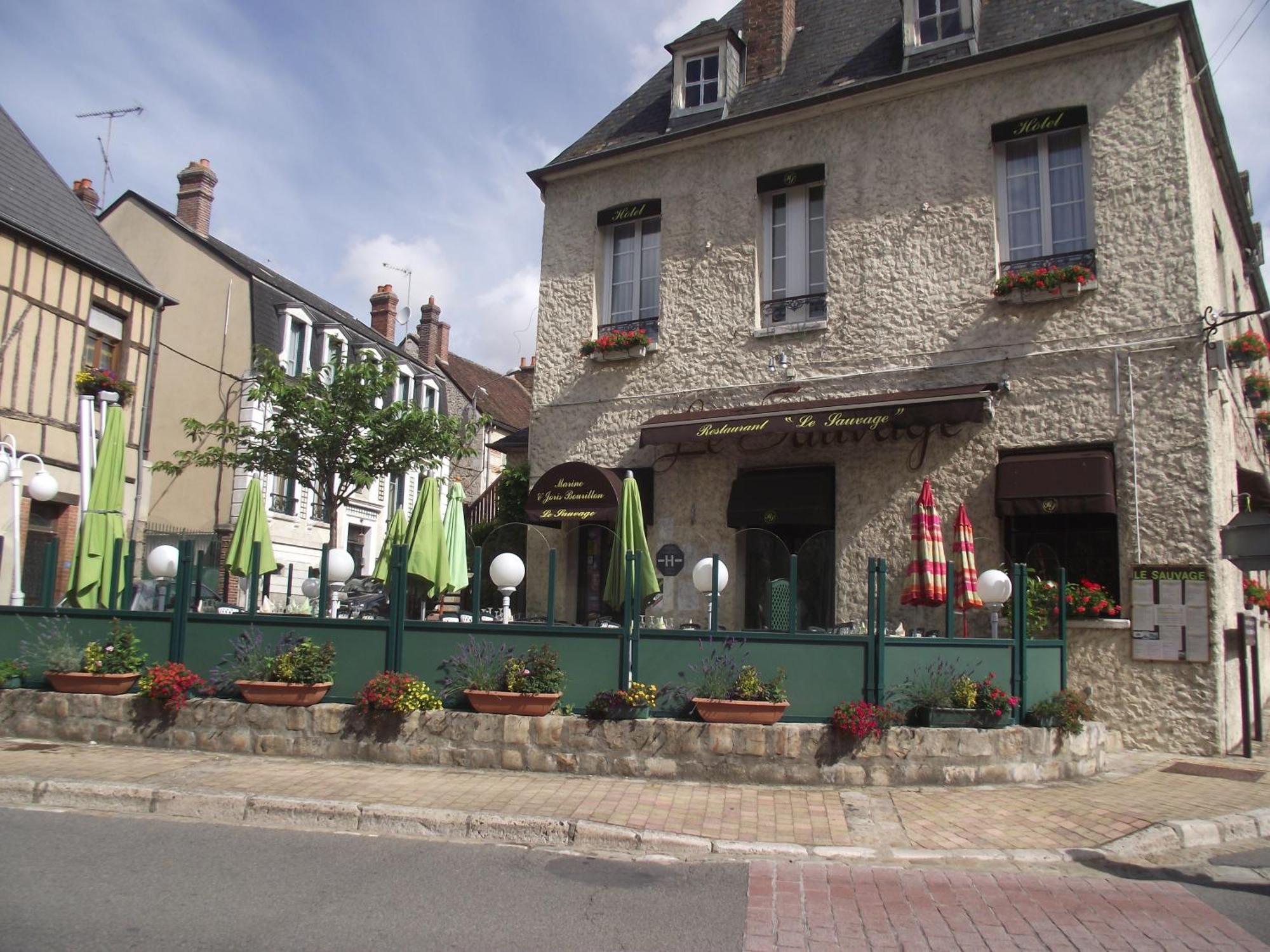 Le Sauvage Hotel Château-Renard Exterior photo