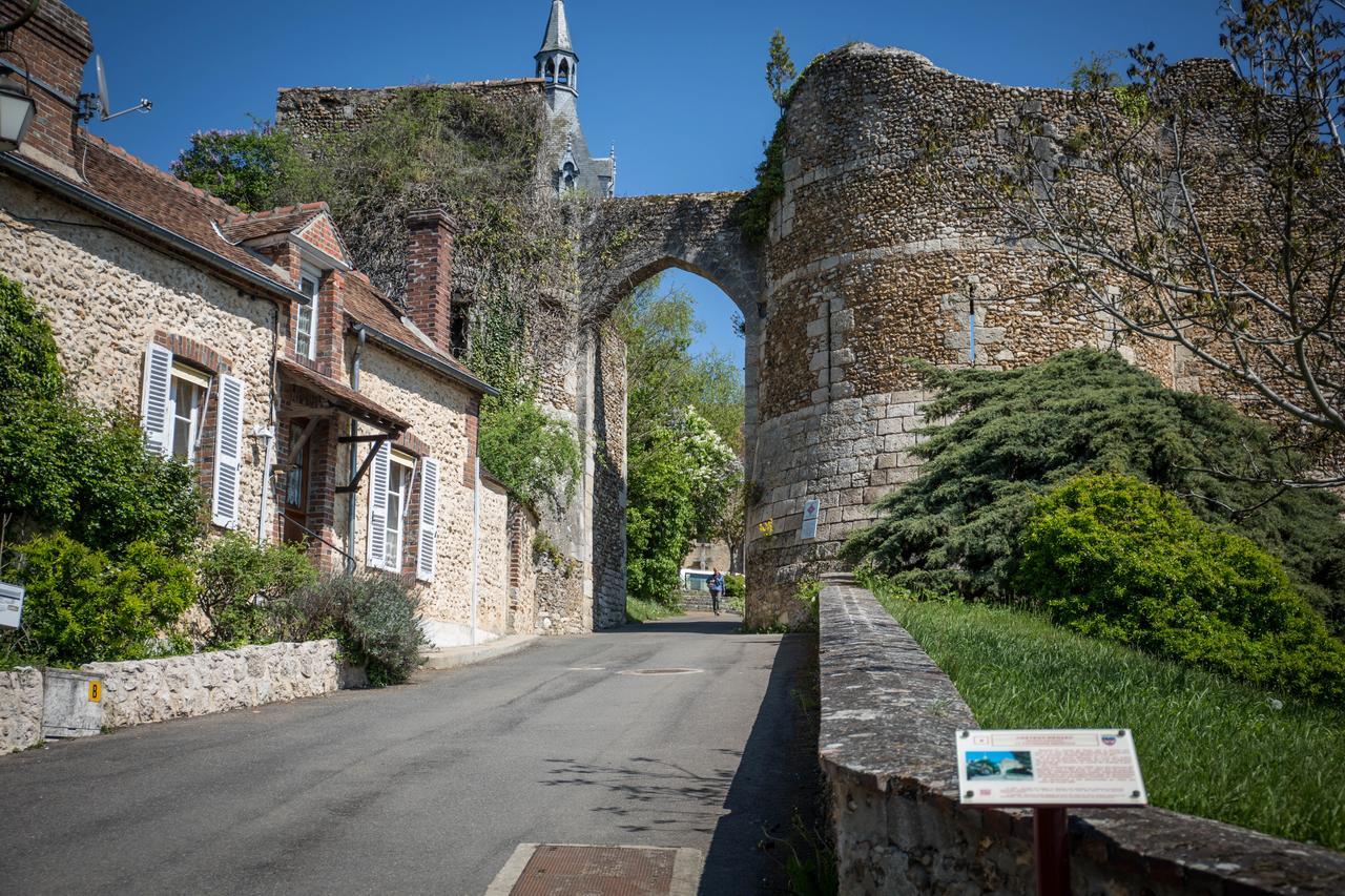 Le Sauvage Hotel Château-Renard Exterior photo